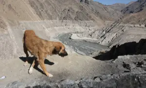 Tehran taps run dry as water crisis deepens across Iran Tehran taps run dry as water crisis deepens across Iran