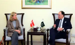 Pakistan, Denmark vow to boost cooperation in trade, energy Pakistan, Denmark vow to boost cooperation in trade, energy