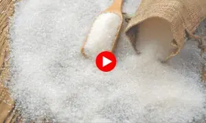 شوگر مافیا حکومت کے قابو نہ آیا، چینی دوبارہ مہنگی