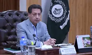 ضمنی الیکشن پُرامن رہا، دنیا بھر میں انتخابات میں خلاف ورزیاں ہوتی ہیں: سکندر سلطان راجہ