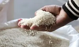بنگلہ دیش کو ایک لاکھ ٹن چاول کی ایکسپورٹ کے لیے سرکاری ٹینڈر جاری
