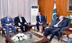 President Zardari, Iran’s top security official reaffirm political support