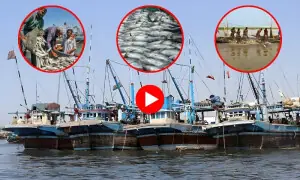 ٹھٹھہ میں کینجھر جھیل کا ماہی گیری کے فروغ میں اہم کردار