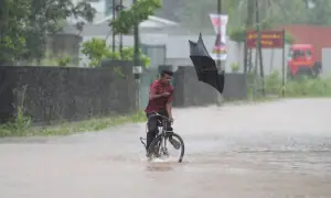 Cyclone Ditwah kills 46 in Sri Lanka, leaves 23 missing as rescue efforts continue