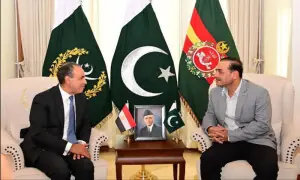 Field Marshal, Egyptian foreign minister review defence ties