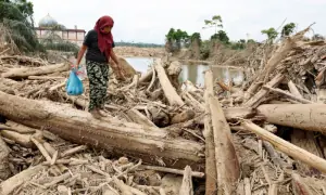 Indonesians climb over logs in walk to aid centre as flood deaths rise over 900