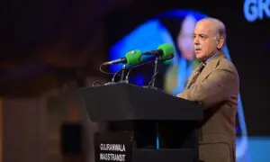 PM vows relentless, united efforts for Pakistan’s progress