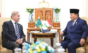 Indonesian president to visit Pakistan; hold key meetings aimed at deepening ties Indonesian president to visit Pakistan; hold key meetings aimed at deepening ties