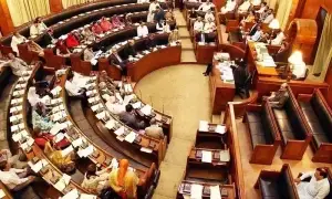 Sindh Assembly unanimously backs Pakistan Army, condemns critical statements