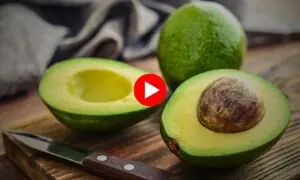 پنجاب میں ’ایواکاڈو‘ کی کاشت کا تجربہ کامیاب