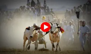 بلوچستان کی صدیوں پرانی روایت، ضلع بیلہ میں واڑیوں کا میلہ