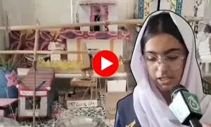 طلبہ و طالبات نے اپنی تخلیقی صلاحیتوں سے سب کو کیا حیران!