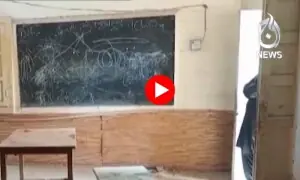 سندھ کے بچوں تعلیم سے محروم، اسکولوں میں بھینسوں کا چارہ