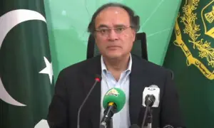 Pakistan faces escalating climate threats, seeks stronger global support: finance minister