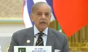 دہشت گردی کا نیا خطرہ افغان سرزمین سے سر اُٹھا رہا ہے، وزیراعظم دہشت گردی کا نیا خطرہ افغان سرزمین سے سر اُٹھا رہا ہے، وزیراعظم