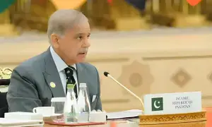 New terror threat emerges from Afghanistan: Shehbaz