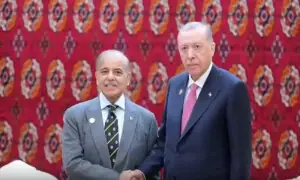 PM vows deeper cooperation with Turkiye across key sectors