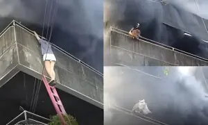 بہادر خاتون نے عمارت میں لگی آگ سے پالتو کتے کو کیسے بچایا؟ ویڈیو وائرل بہادر خاتون نے عمارت میں لگی آگ سے پالتو کتے کو کیسے بچایا؟ ویڈیو وائرل