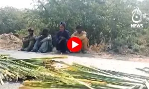 غربت نے گھاس سے کمائی سکھا دی غربت نے گھاس سے کمائی سکھا دی