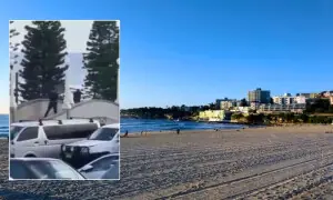 آسٹریلیا: یہودیوں کے تہوار کی تقریب پر فائرنگ، 12 افراد ہلاک آسٹریلیا: یہودیوں کے تہوار کی تقریب پر فائرنگ، 12 افراد ہلاک