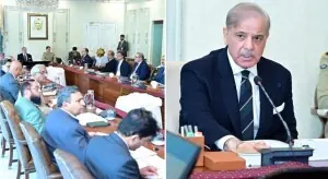 PM orders fast-track privatisation of power sector PM orders fast-track privatisation of power sector