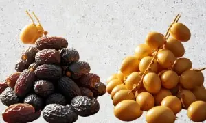 کھجور یا کھجی : صحت کے لیے کیا فائدہ مند ہے؟ کھجور یا کھجی : صحت کے لیے کیا فائدہ مند ہے؟