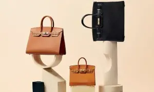 تقریباً 3 ارب روپے کا بیگ، جسے خریدنے کے لیے اپائنٹمنٹ اور پھر سال بھر انتظار چاہیے