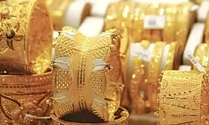 20 کلو سونا فراڈ، ملزم نے سوتیلی ماں کو بھی نہ بخشا 20 کلو سونا فراڈ، ملزم نے سوتیلی ماں کو بھی نہ بخشا