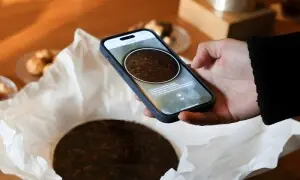 کمائی کا انوکھا تجربہ: چین میں نایاب درخت اور چائے ڈیجیٹل اثاثوں میں تبدیل کمائی کا انوکھا تجربہ: چین میں نایاب درخت اور چائے ڈیجیٹل اثاثوں میں تبدیل