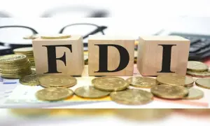 Pakistan’s FDI plunges 25% in first five months of current fiscal Pakistan’s FDI plunges 25% in first five months of current fiscal