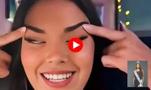 مس فنِ لینڈ اسکینڈل