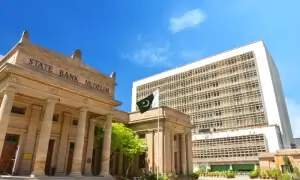 پاکستان میں ہونے والی بیرونی سرمایہ کاری میں 25 فیصد کمی پاکستان میں ہونے والی بیرونی سرمایہ کاری میں 25 فیصد کمی