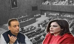 &rdquo;تمھارے کرتوت سب کے سامنے رکھوں گا&ldquo;: علیم خان اور پلوشہ خان میں تلخ کلامی