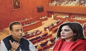 &rdquo;تمھارے کرتوت سب کے سامنے رکھوں گا&ldquo;: علیم خان اور پلوشہ خان میں تلخ کلامی