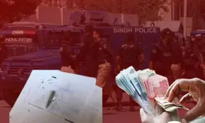کراچی میں تاجروں سے بھتہ خوری کے معاملے پر وزارتِ داخلہ کا انٹرپول سے رابطہ