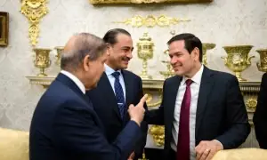 پاکستان نے غزہ میں اپنے فوجی دستے بھیجنے پر غور کرنے کی پیشکش کی جس پر اس کے شکر گزار ہیں: امریکا