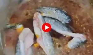 مچھلی کا منفرد سوپ