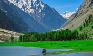 خیبرپختونخوا 2025: سیاحتی وادیاں ملکی و غیر ملکی سیاحوں کی پہلی پسند بن گئیں