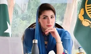 مریم نواز کا پراپرٹی پروٹیکشن آرڈیننس روکنے پر ردعمل، &rsquo;قبضہ مافیا کو فائدہ پہنچے گا&lsquo;