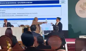 Three bidders submit sealed offers for privatisation of PIA