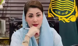 Maryam says ownership law was meant to protect citizens