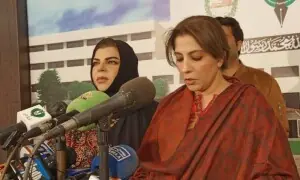 وزیراعظم اپنی کابینہ کے نتیش کماروں کو سنبھالیں: پلوشہ شاہ