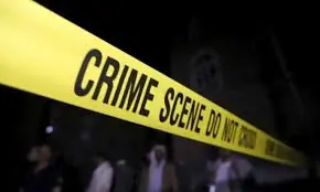 Four bodies found in Karachi home, police suspect suicide