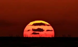 نئی امیدوں کے ساتھ سال 2026 کا سورج طلوع، پاکستان سمیت دنیا بھر میں جشن