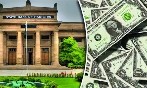 ملکی زرمبادلہ کے ذخائر میں 1.3 کروڑ ڈالر کا اضافہ