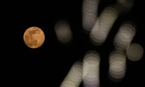 Pakistan to see first supermoon of the year tonight Pakistan to see first supermoon of the year tonight