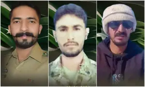 Army officer, soldier among three martyred in avalanche during snow clearance at Burzil Pass Army officer, soldier among three martyred in avalanche during snow clearance at Burzil Pass