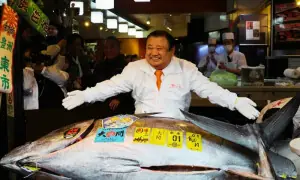 نایاب مچھلی 3 کروڑ 24 لاکھ ڈالر کی ریکارڈ قیمت میں فروخت