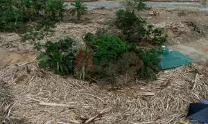 Flash floods in Indonesia&rsquo;s North Sulawesi kill 14, four still missing