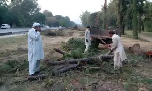 اسلام آباد میں ہزاروں درختوں کی کٹائی، ماحول دوست اقدام یا نیا بحران؟ اسلام آباد میں ہزاروں درختوں کی کٹائی، ماحول دوست اقدام یا نیا بحران؟